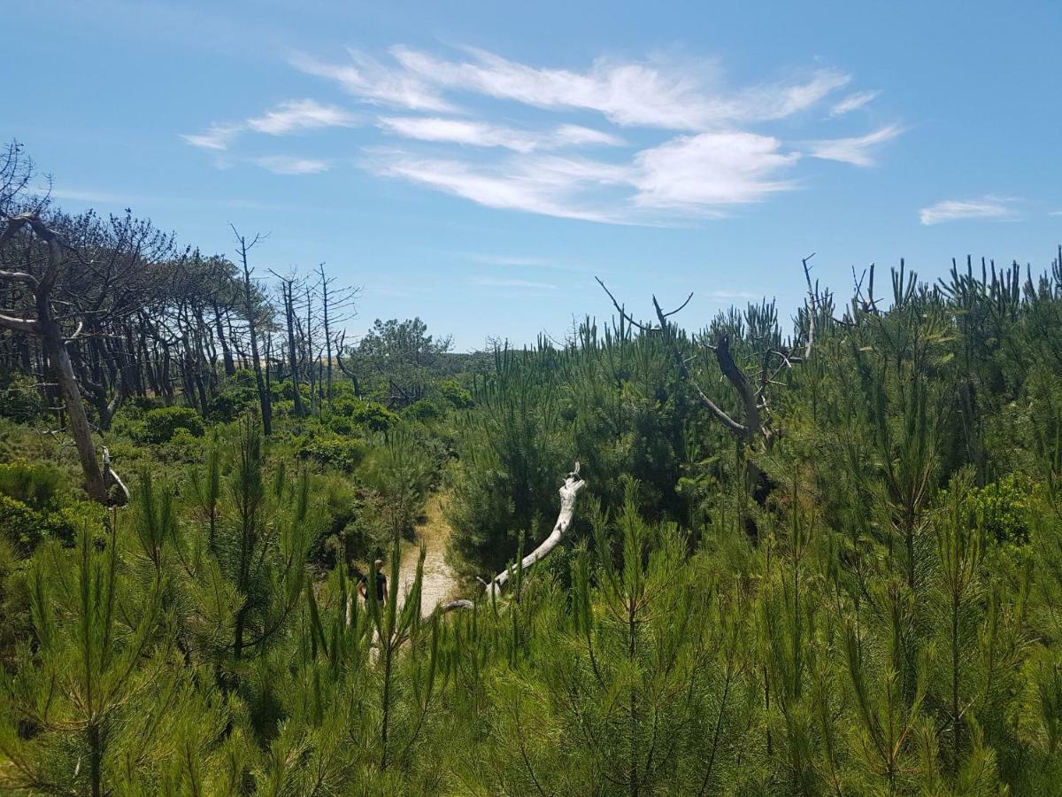 La Pinède Océane,400m des plages Mimizan Exterior foto